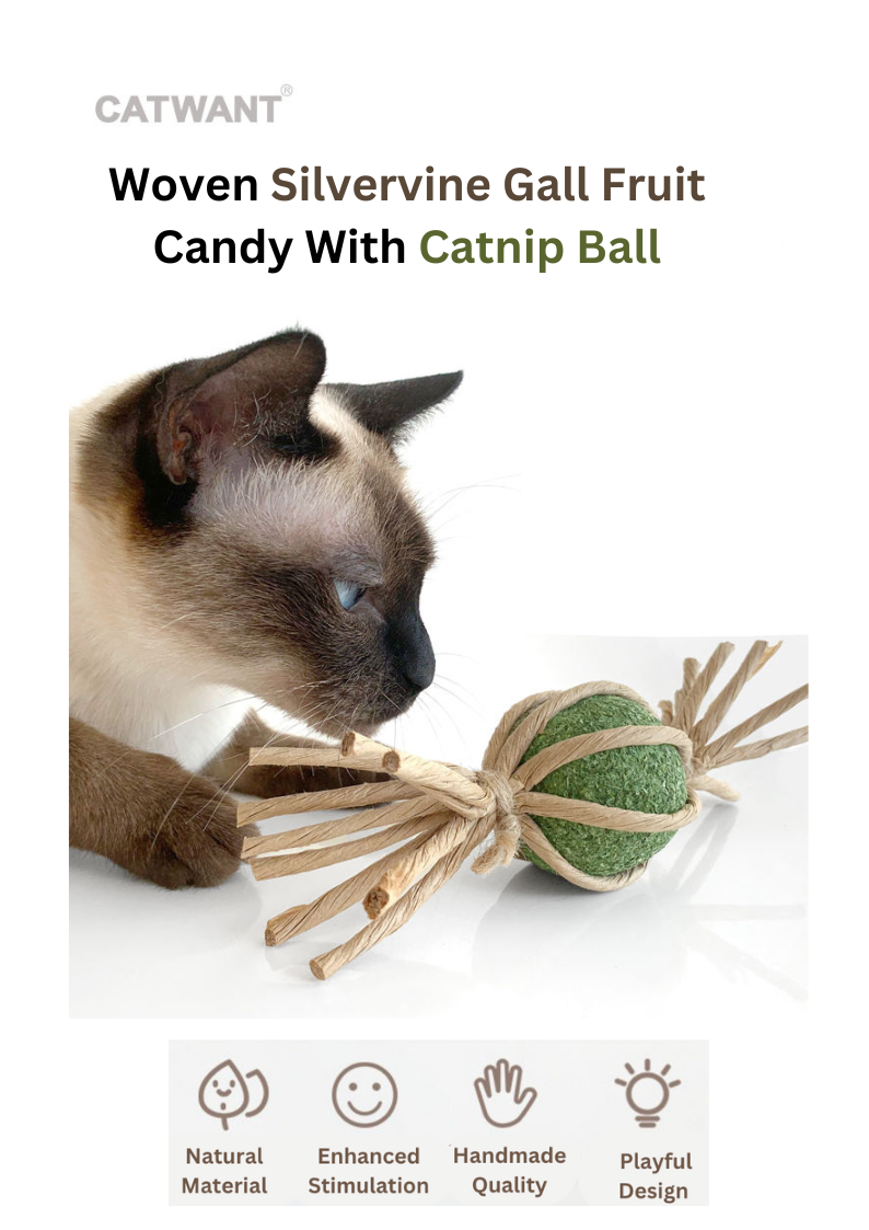 Woven Silvervine Gall Fruit Candy With Catnip Ball
