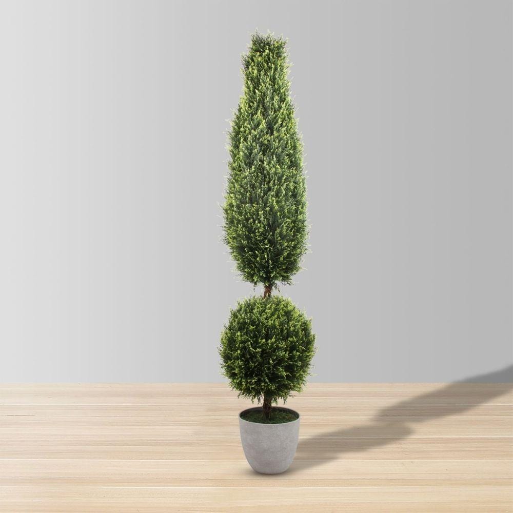 Jacob Potted Boxwood Topiary Plant (Multiple Sizes)