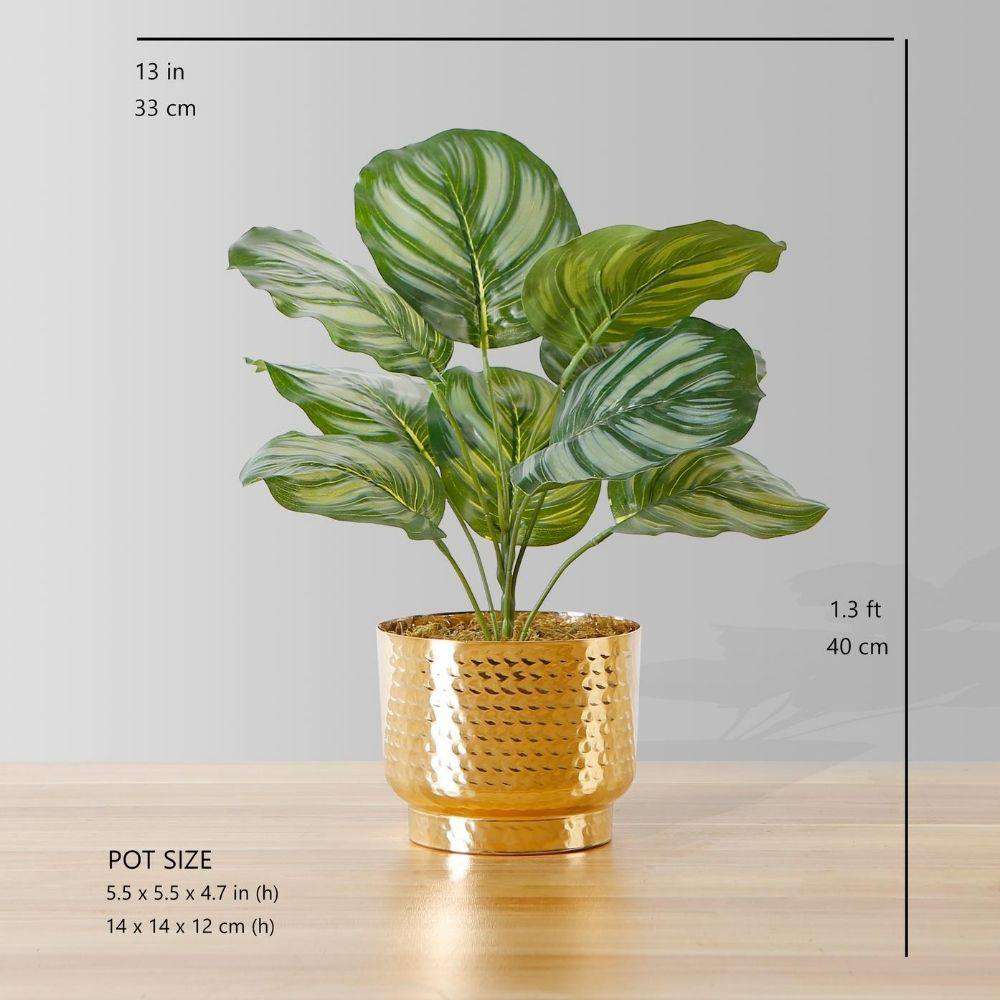 Calathea Faux Potted Plant