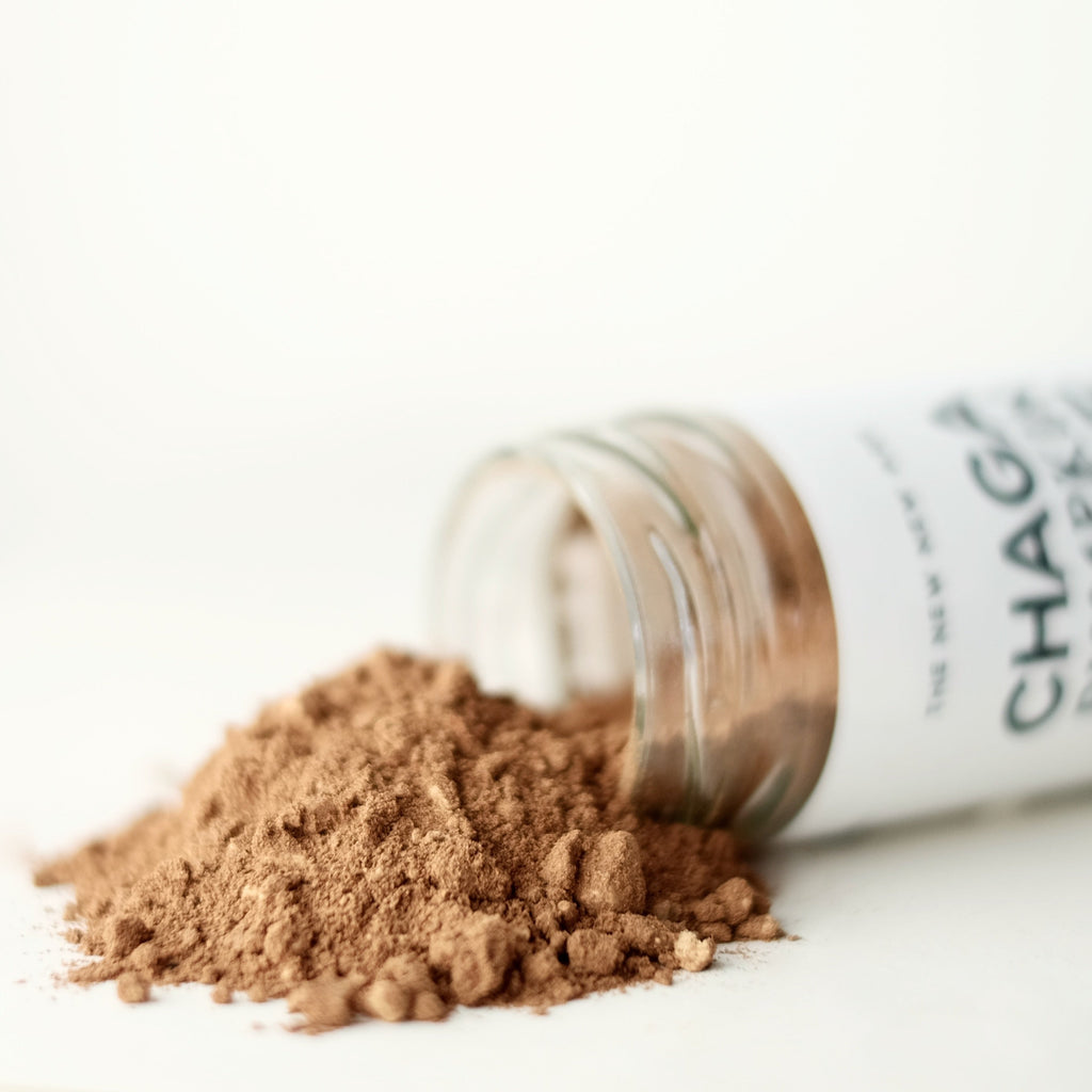 CHAGA PUMPKIN SPICE