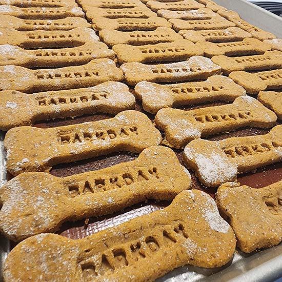 Pumpkin Spice Dog Cookies 🎃🐾