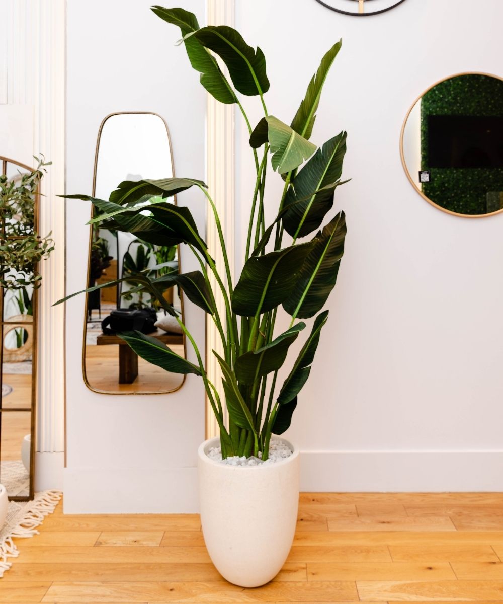 Zapo Artificial Bird Of Paradise Potted Plant (Multiple Sizes)
