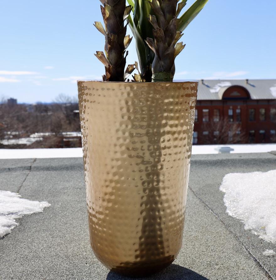 Davi - Brass Planter (Multiple Sizes)