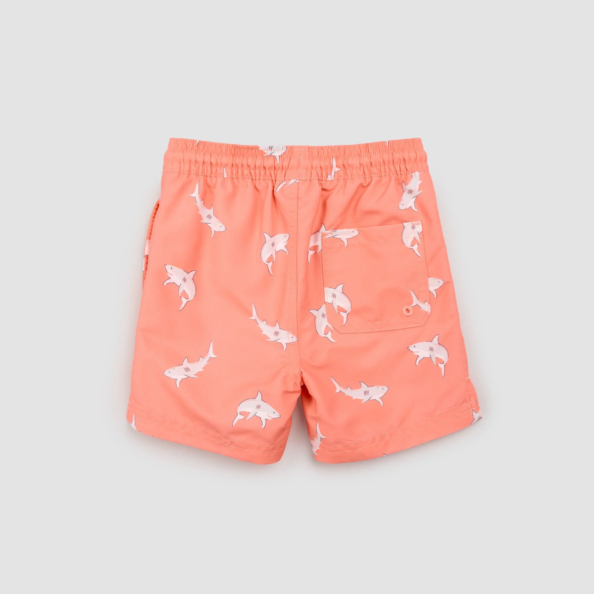 Swim Trunk | Sharks on Coral | Miles the Label
