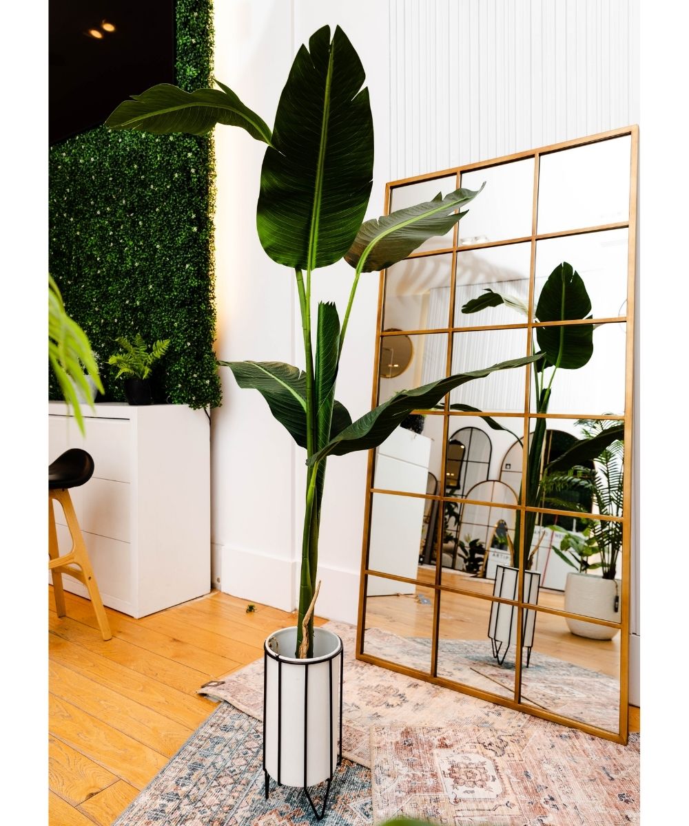 Mati - White Planter With Black Stand