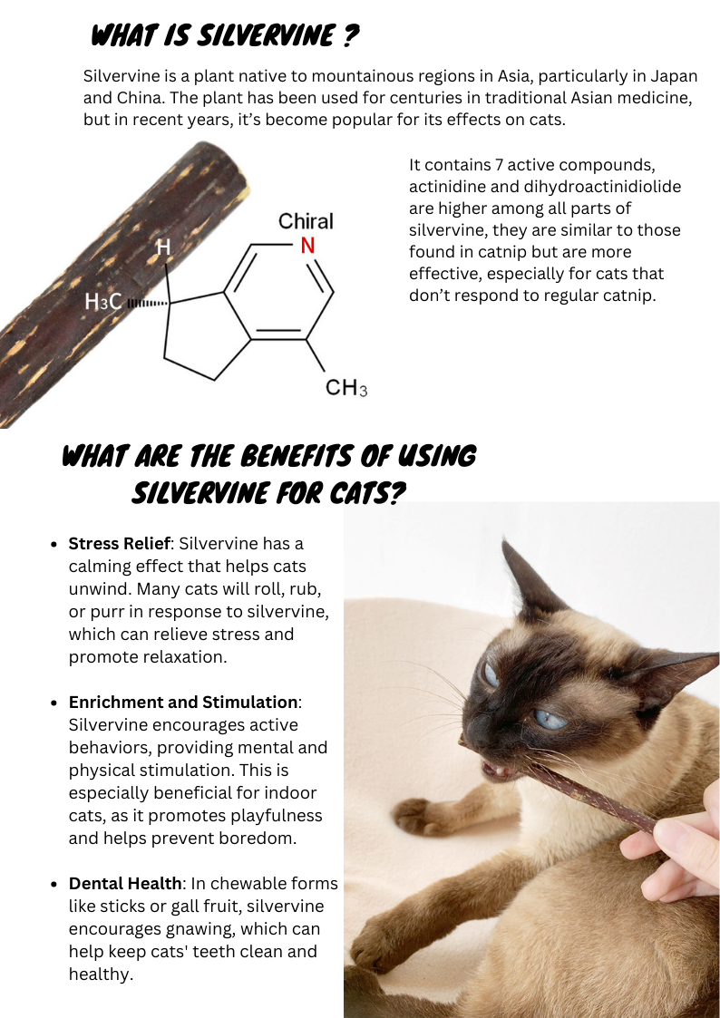 Silvervine Sticks