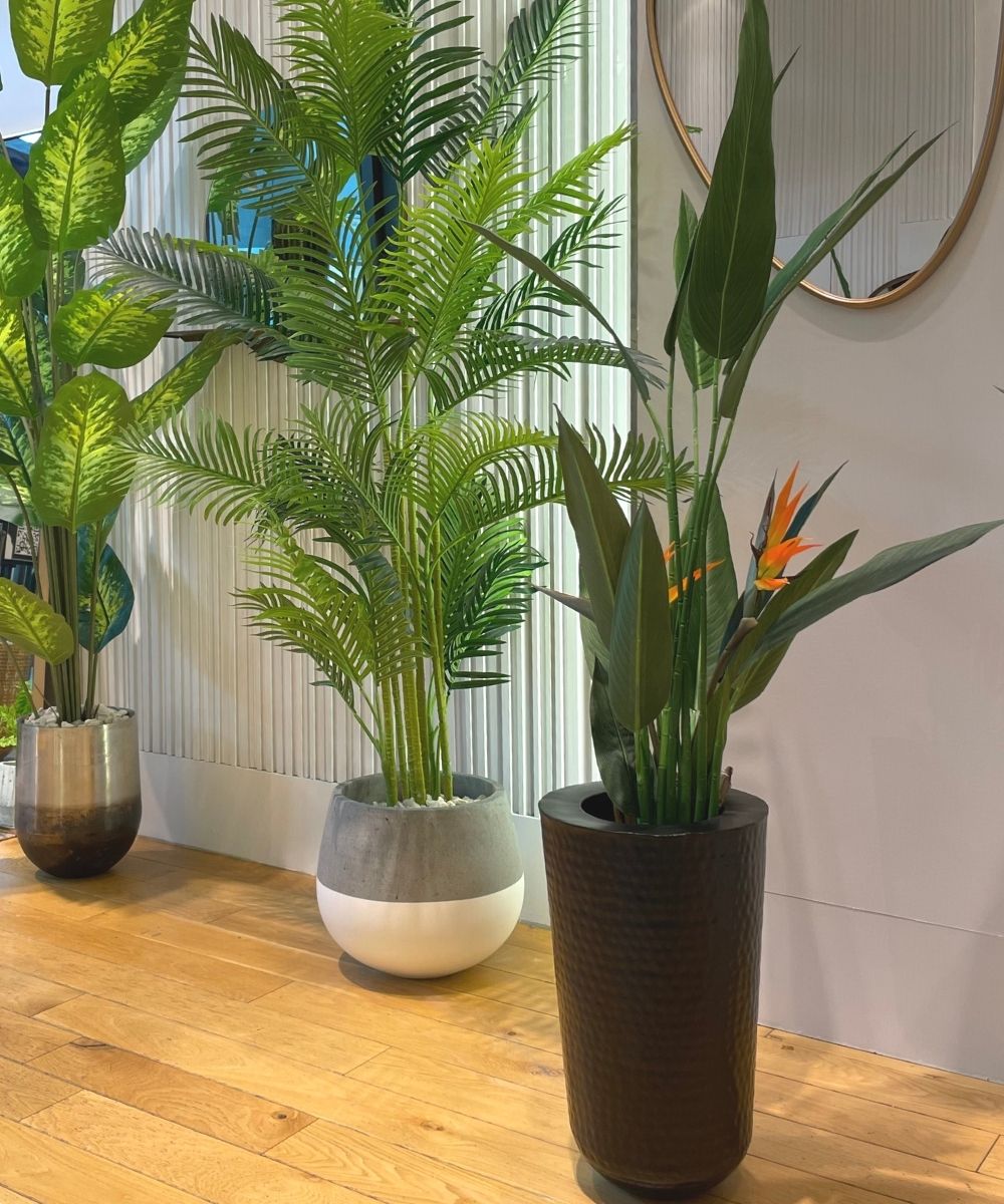 Mesa - Black Brass Planter (Multiple Sizes)