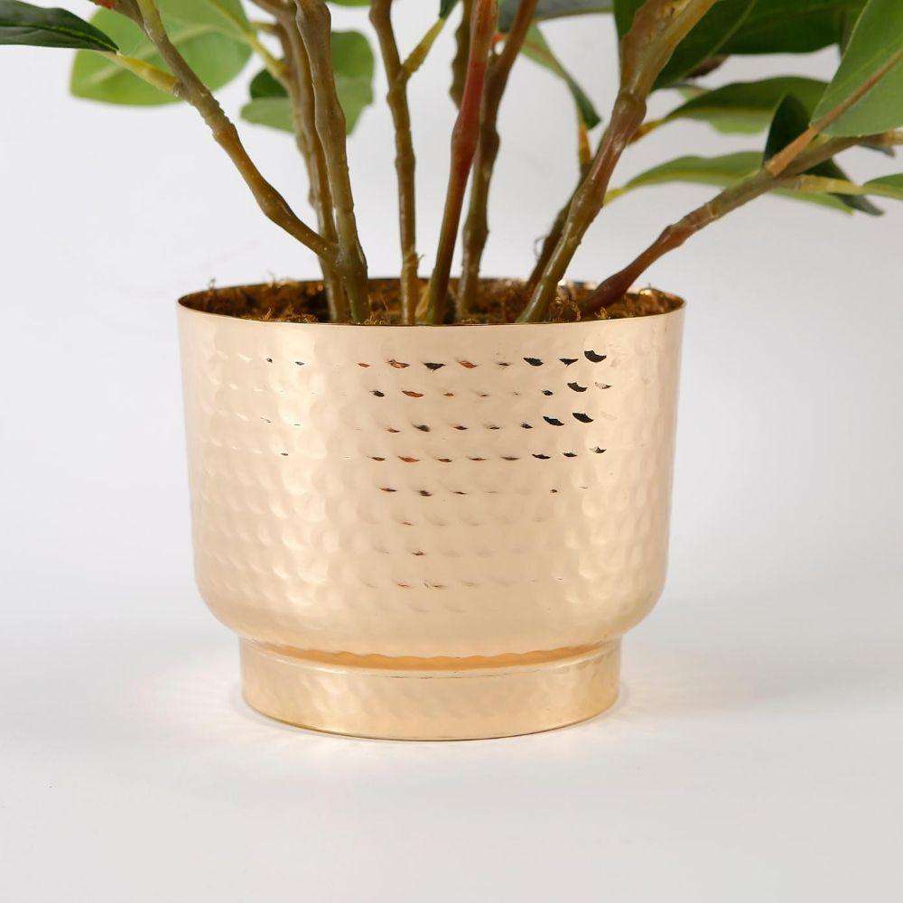 Moreno Potted Faux Watercress Plant