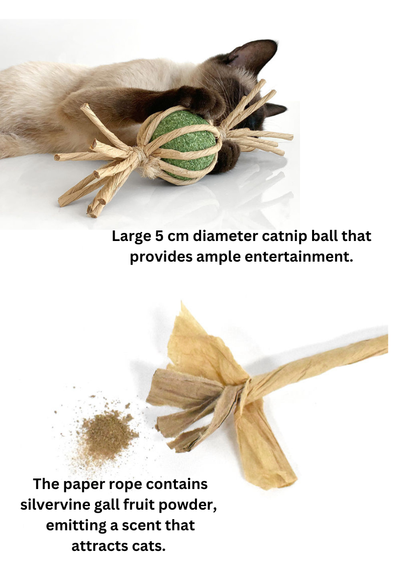 Woven Silvervine Gall Fruit Candy With Catnip Ball