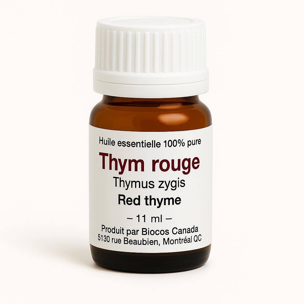 Thym rouge