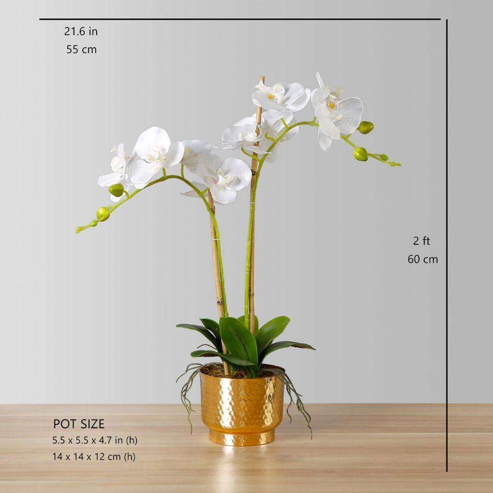 Gladiola Faux Potted Orchid Floral Arrangement 24 Inches