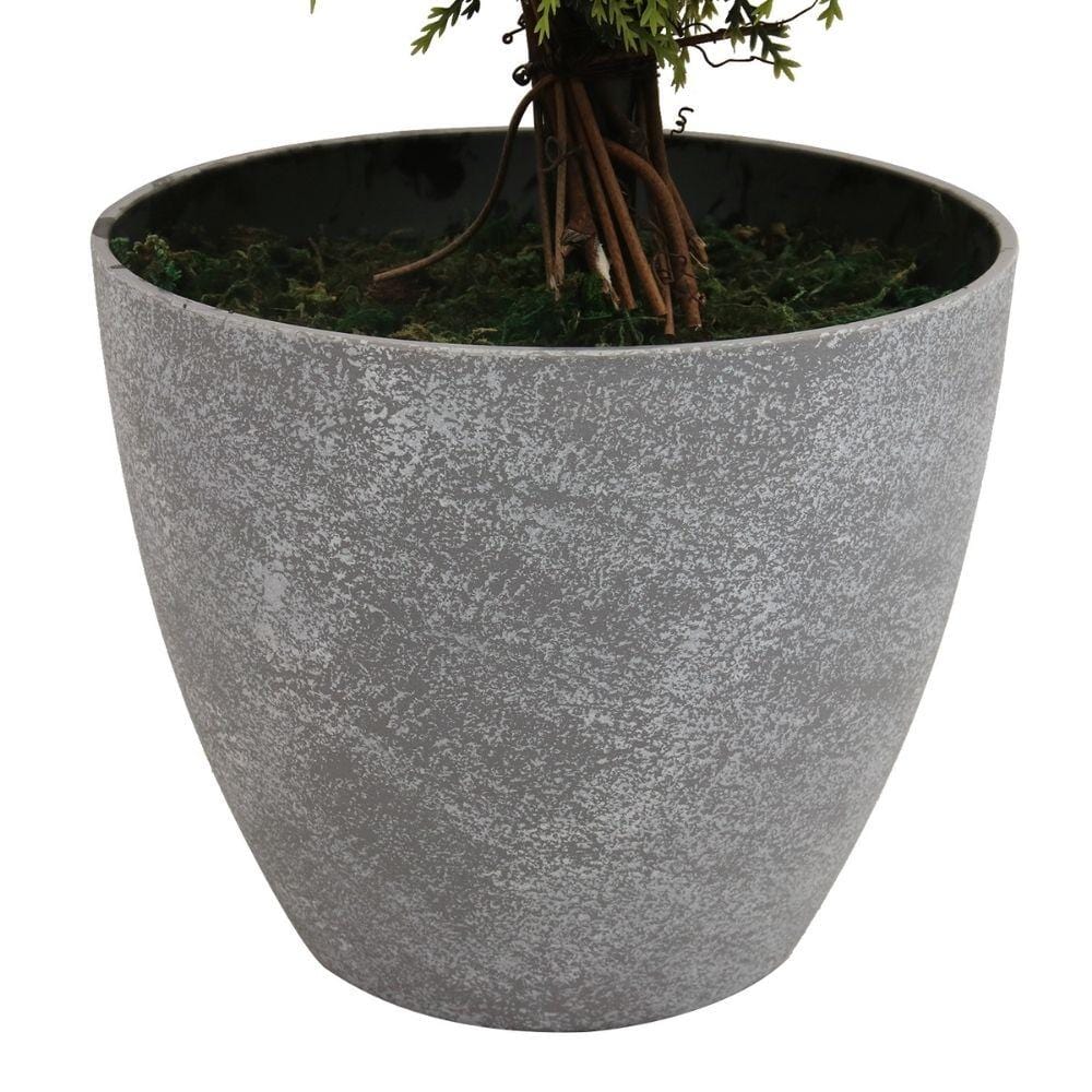 Jacob Potted Boxwood Topiary Plant (Multiple Sizes)