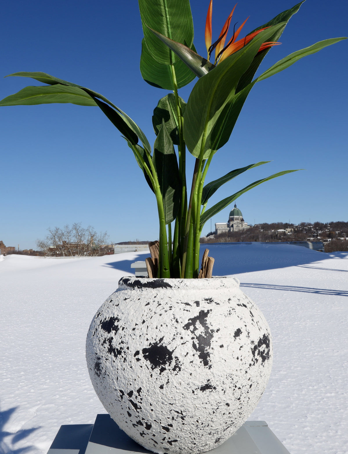 Athens Cement Planter 14''