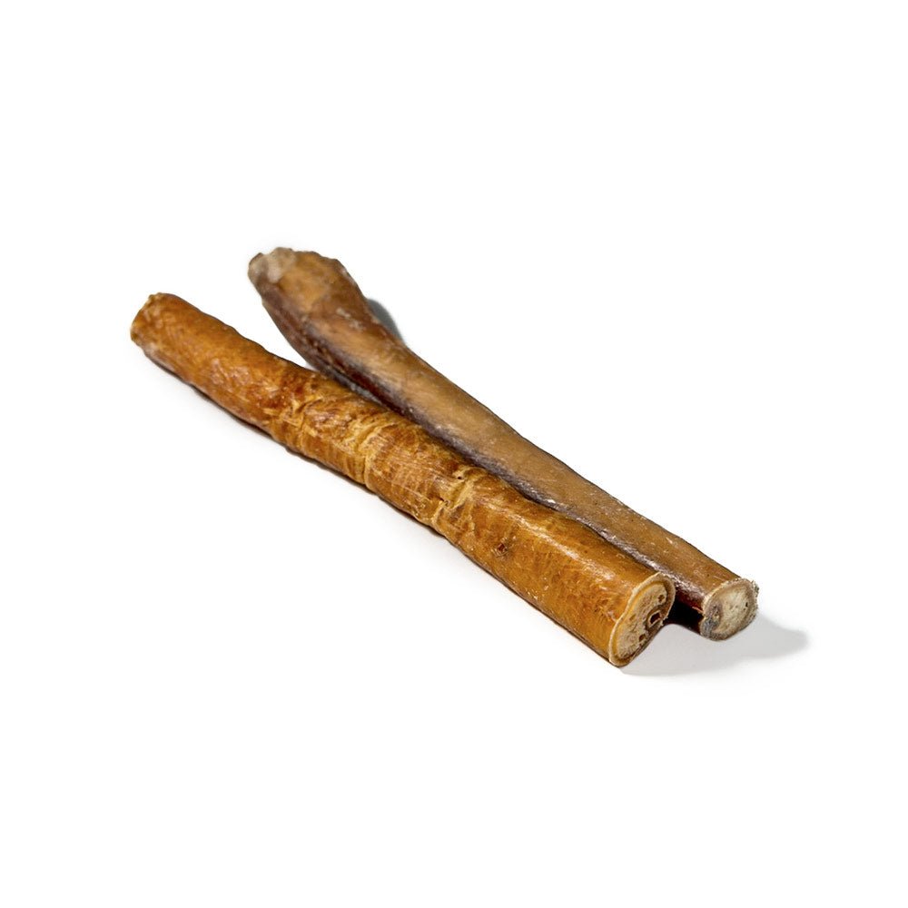 6" Jumbo Bully Stick