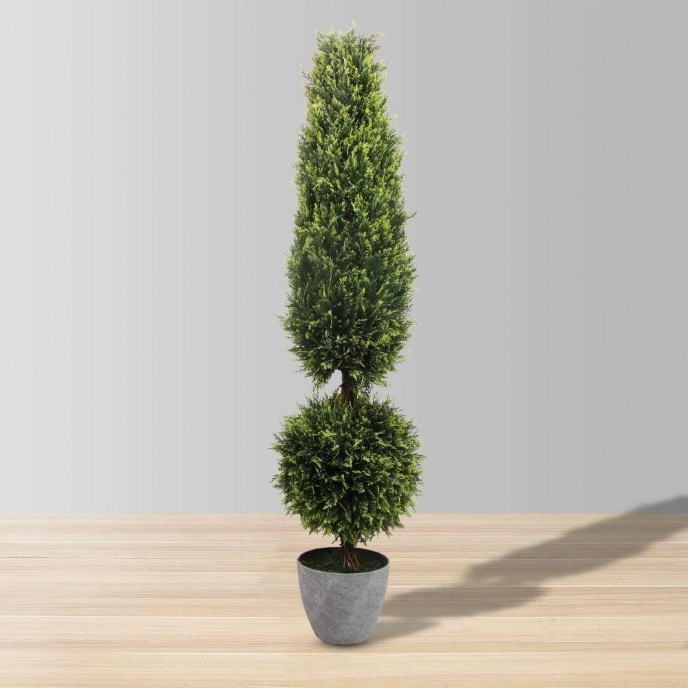 Jacob Potted Boxwood Topiary Plant (Multiple Sizes)