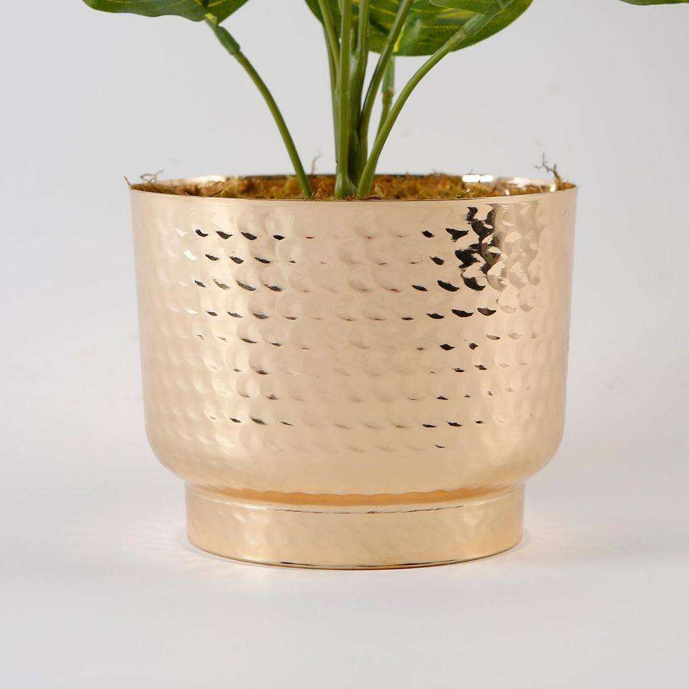 Calathea Faux Potted Plant