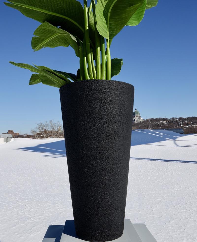 Vaneto Black Cement Planter (Multiple Sizes)