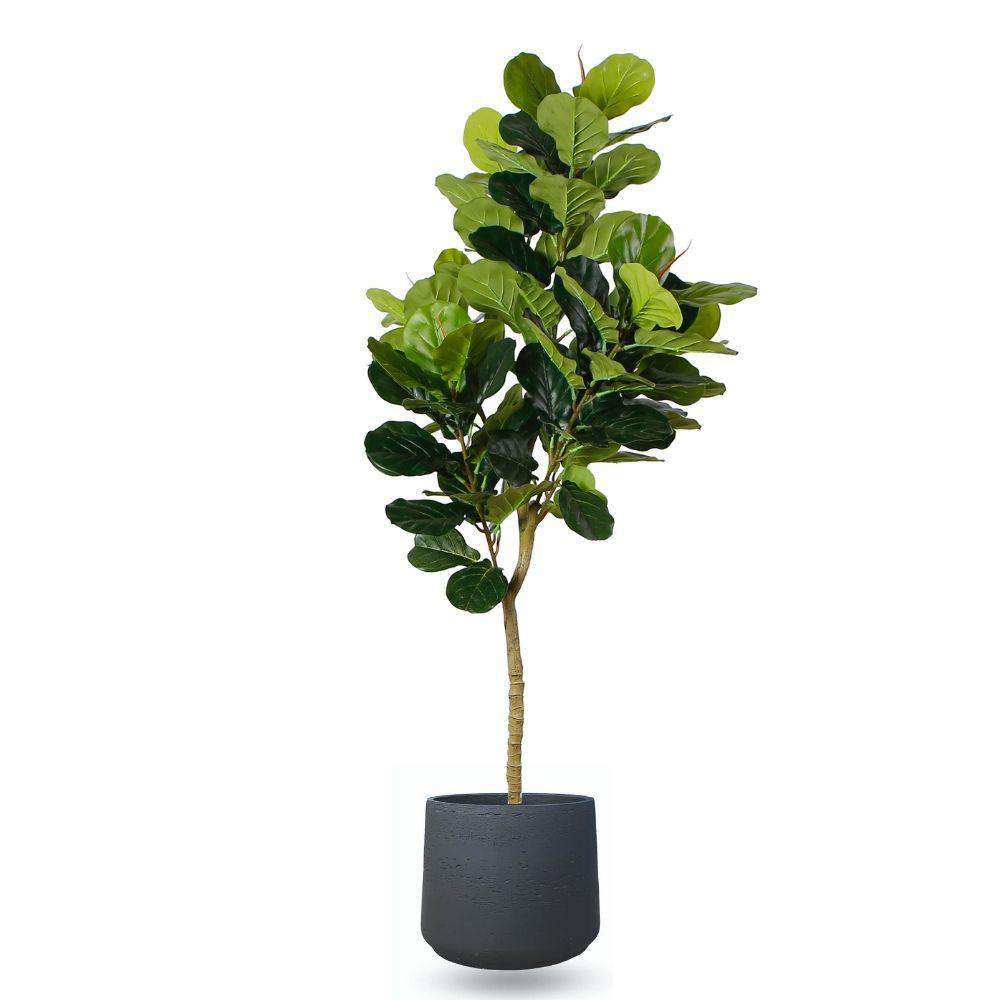 Anto Black Cement Planter 13''