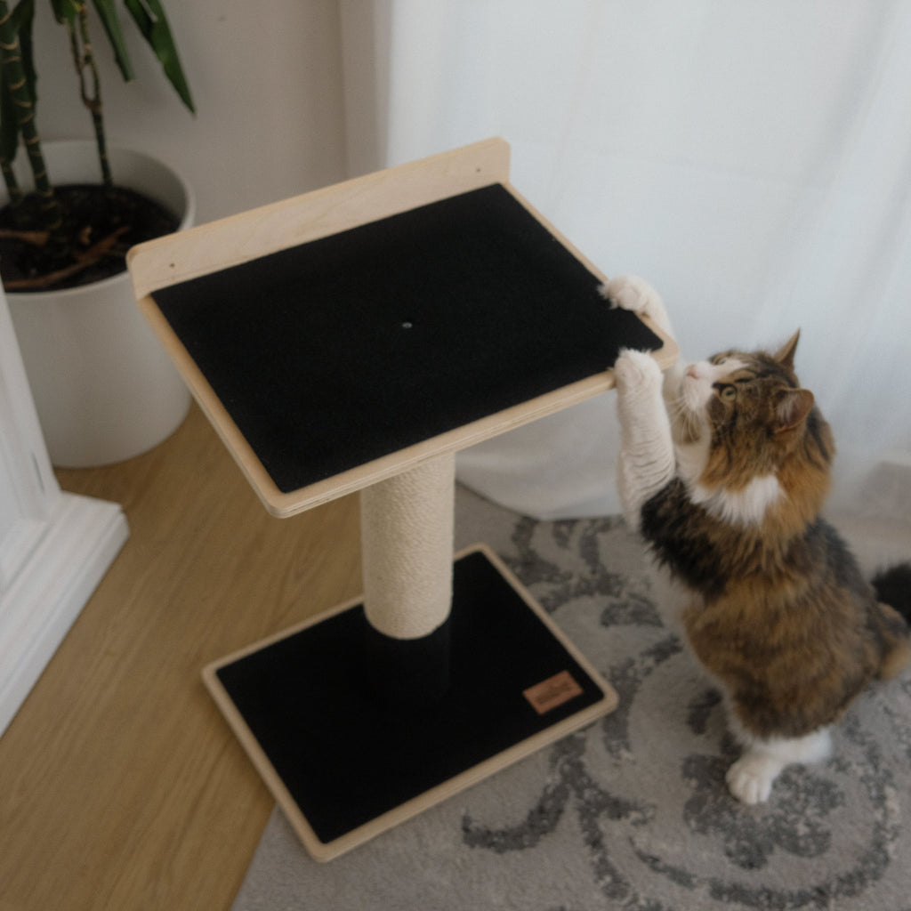 Noba Modern Plywood 1-Level Cat Tree