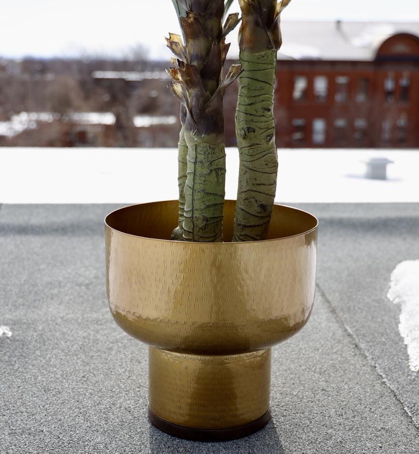 Hana - Brass Mid-Century Mushroom Planter (Multiple Sizes)