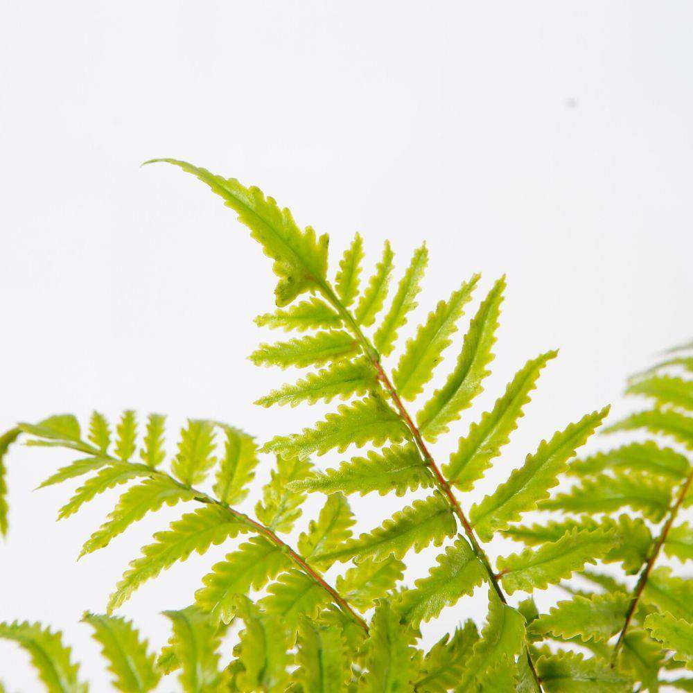 Bera Potted Faux Fern