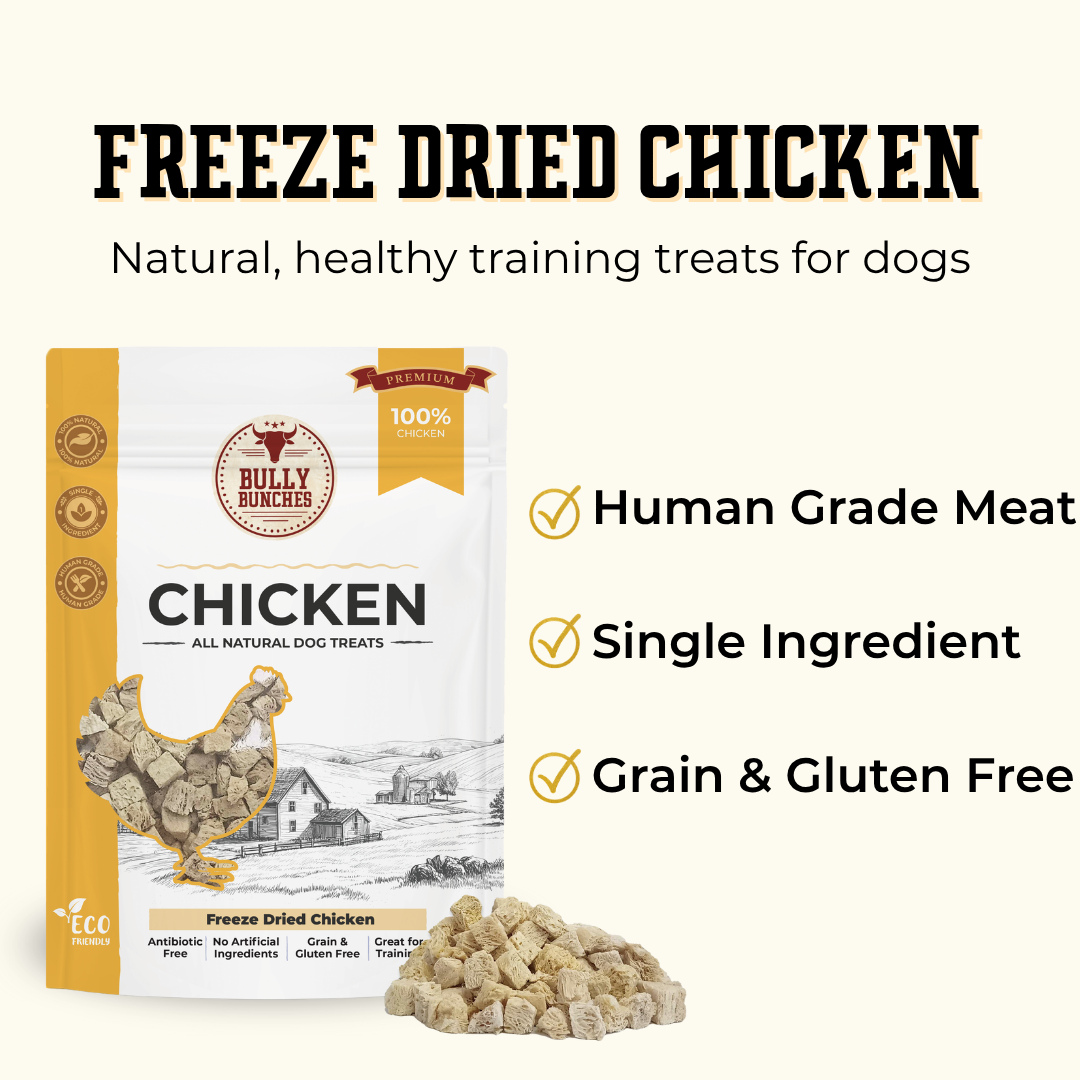 Freeze Dried Chicken 100g / 3.5oz
