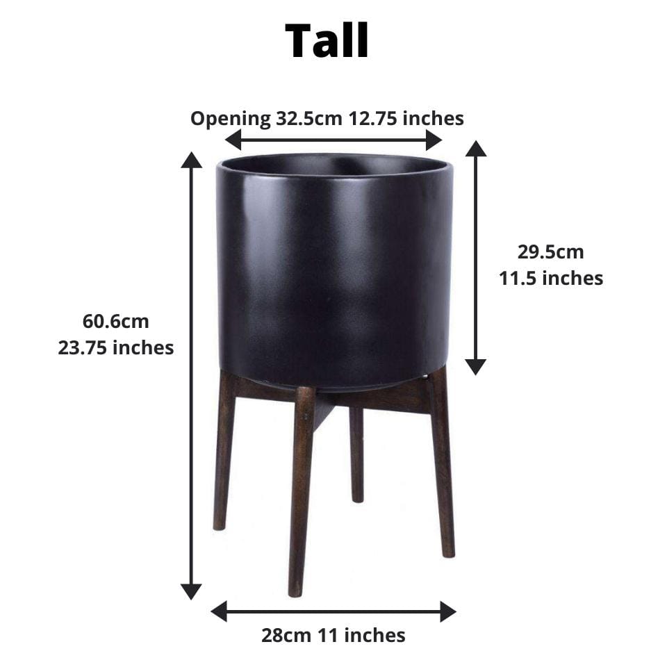 Ceza - Brass Modern Plant Stand With Black Planter
