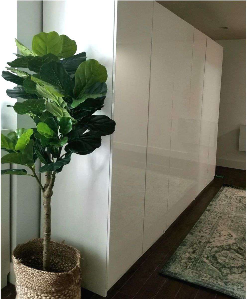 Cora Artificial Fiddle Leaf Potted Plant 5.5'