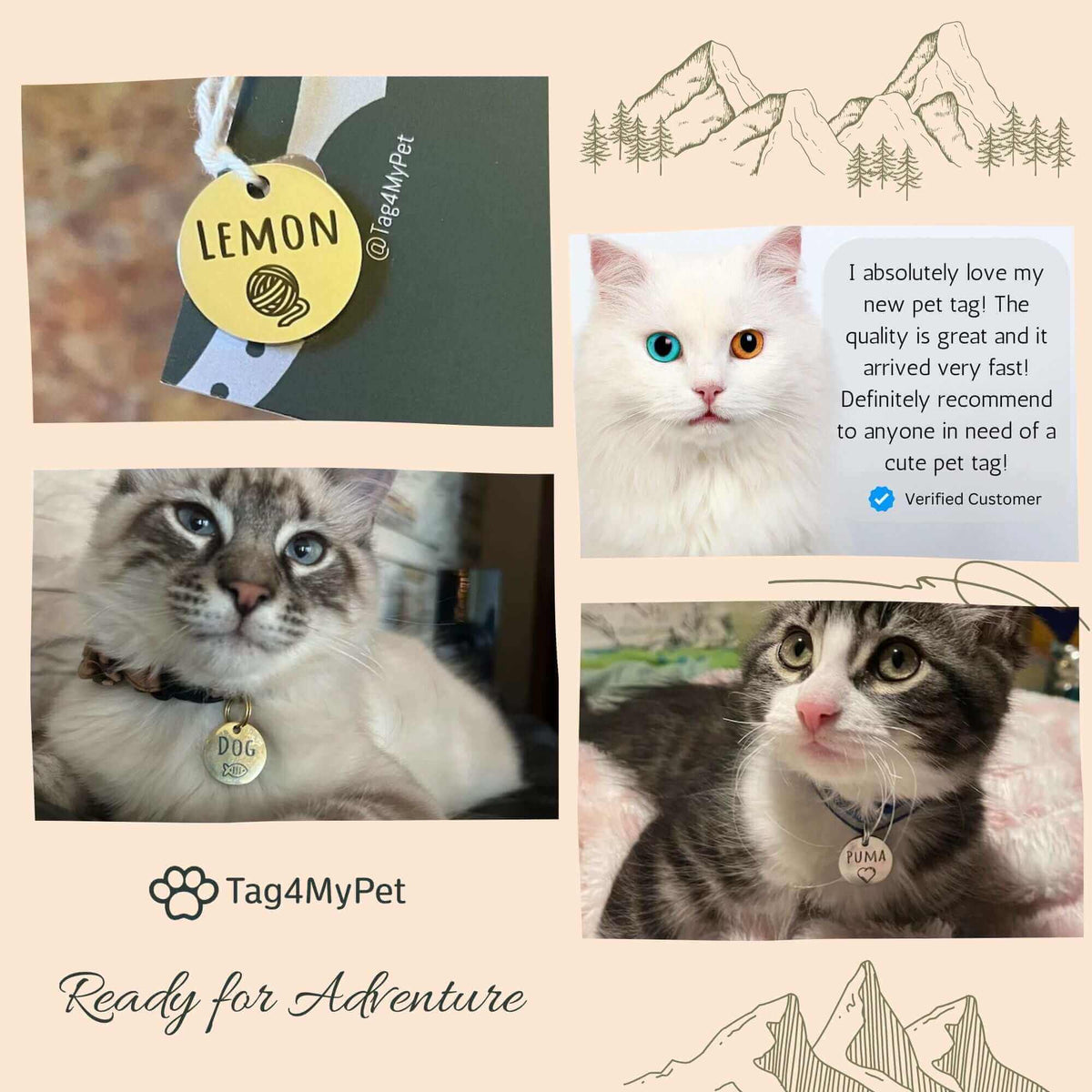 Cat Collar Breakaway - Flowers Designs with ID Tag