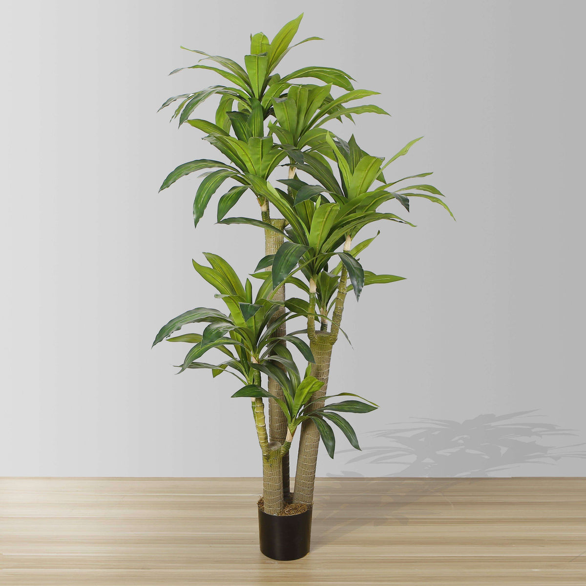 Dana Artificial Draecena Tree Potted Plant (Multiple Sizes)