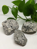 Dalmation Jasper Chunks