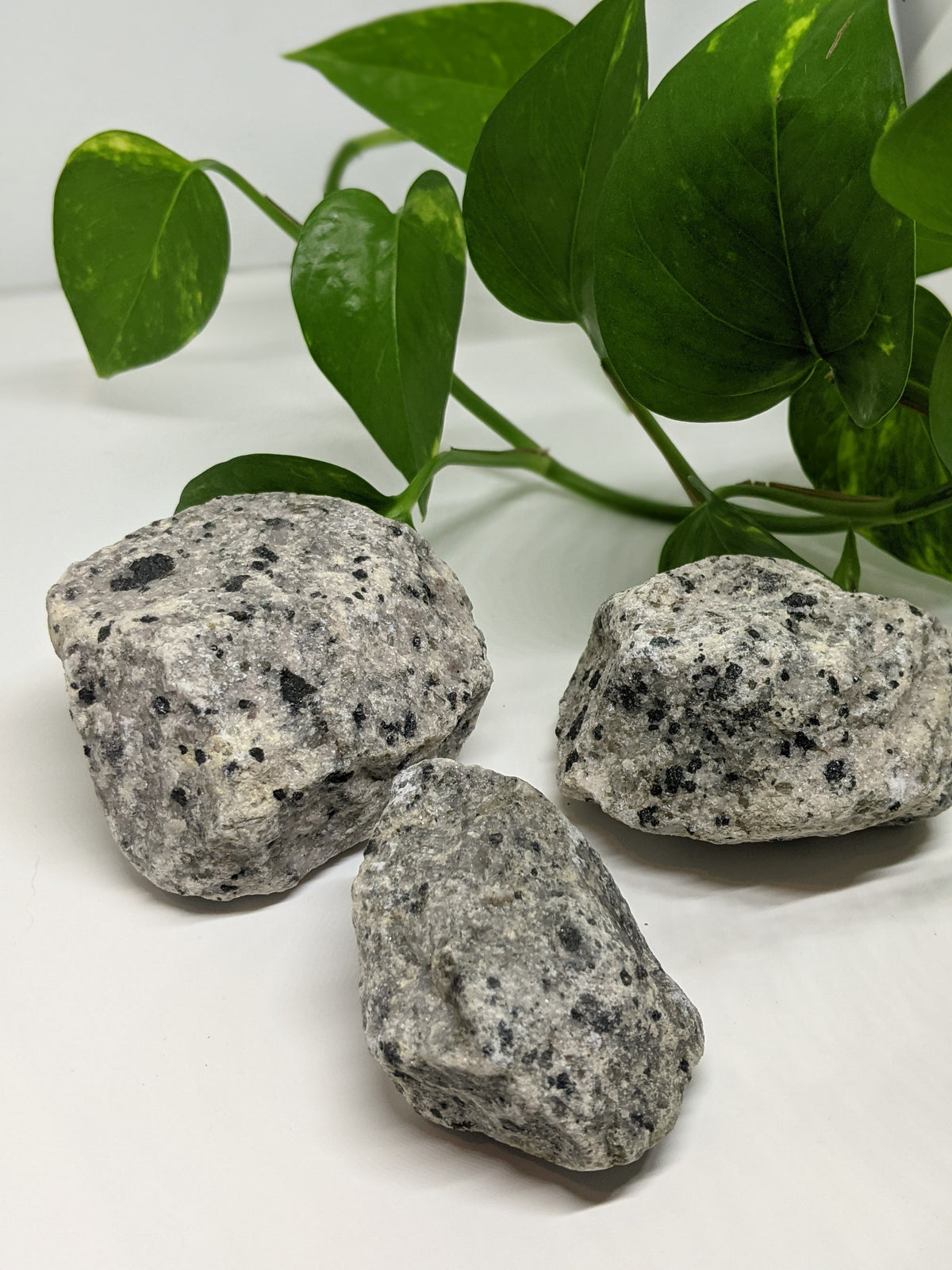 Dalmation Jasper Chunks
