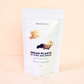 DREAM PLANTS OF KING SOLOMON // sleep tonic