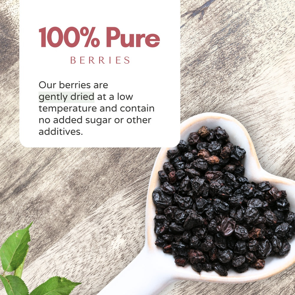 Organic Elderberries Dried 1 lb (454 g)
