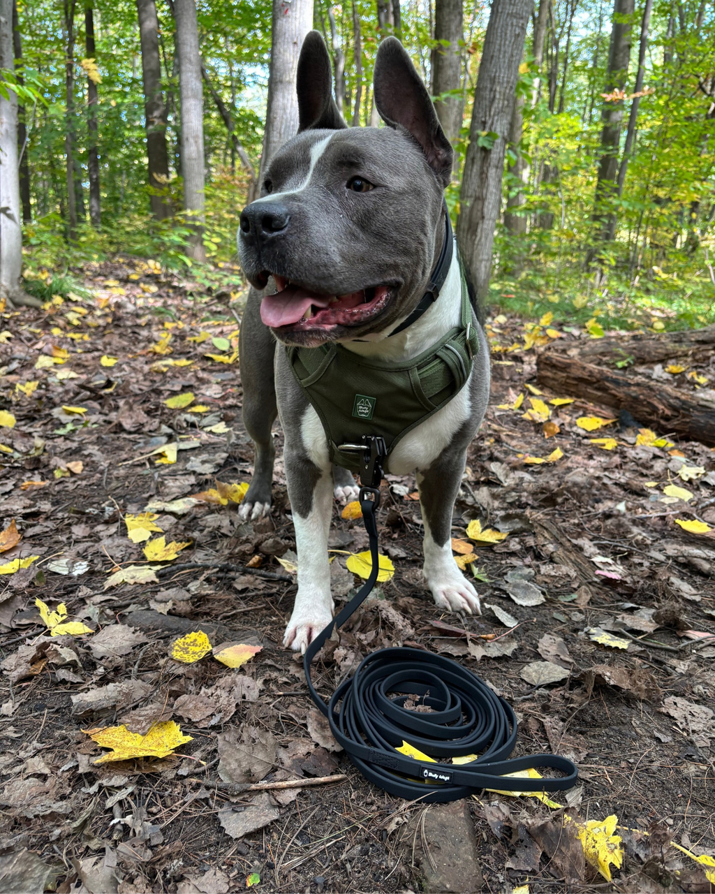 PVC Long Line Leash