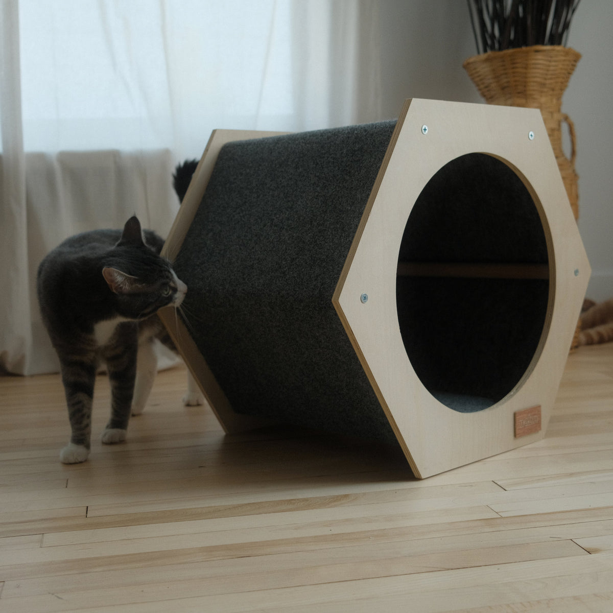 The Hexagone Scratchable Cat House