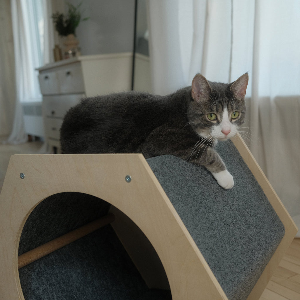 The Hexagone Scratchable Cat House