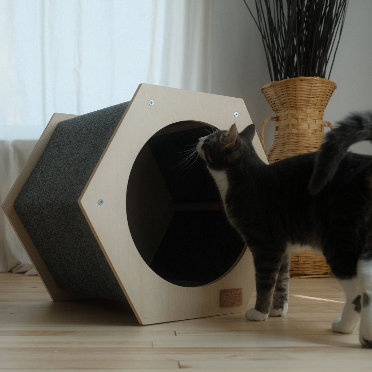 The Hexagone Scratchable Cat House
