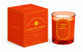 Candles for Burned-Out Horse People | Horse Girl Energy Candle