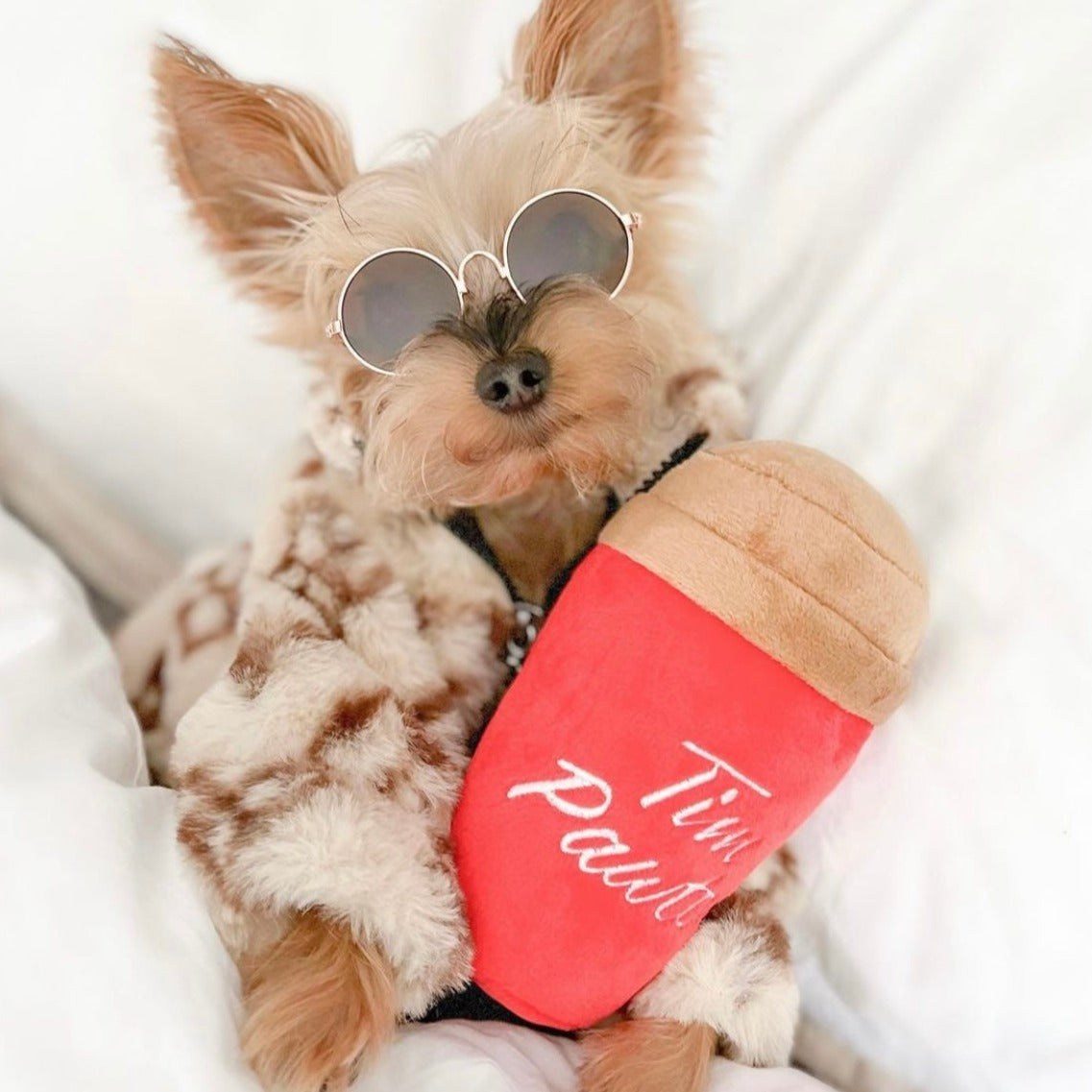 Tim Pawtons Dog Toy (LIMITED SUPPLY)