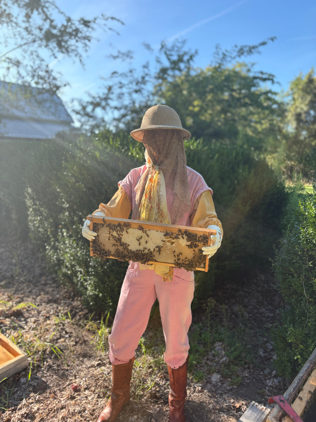 HONEY
