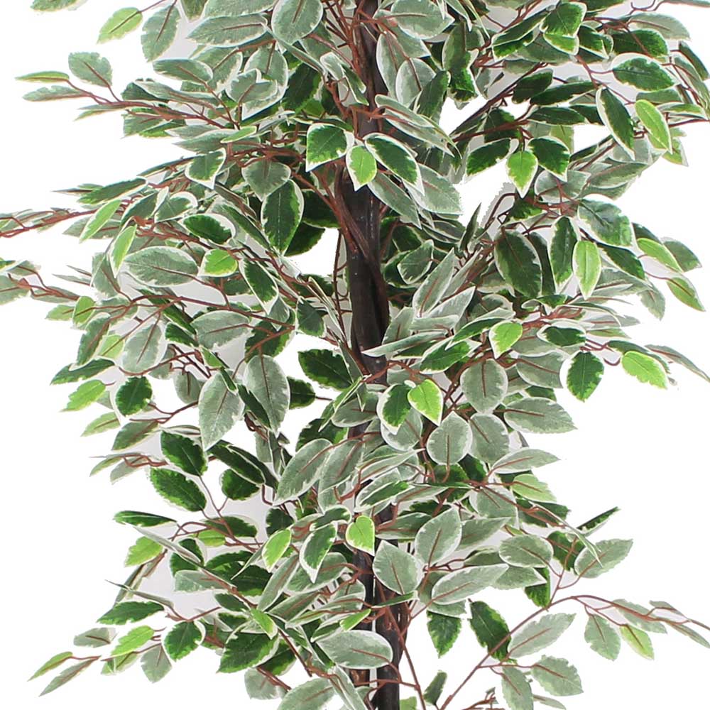 Olaya Artificial Ficus Potted Plant 6'