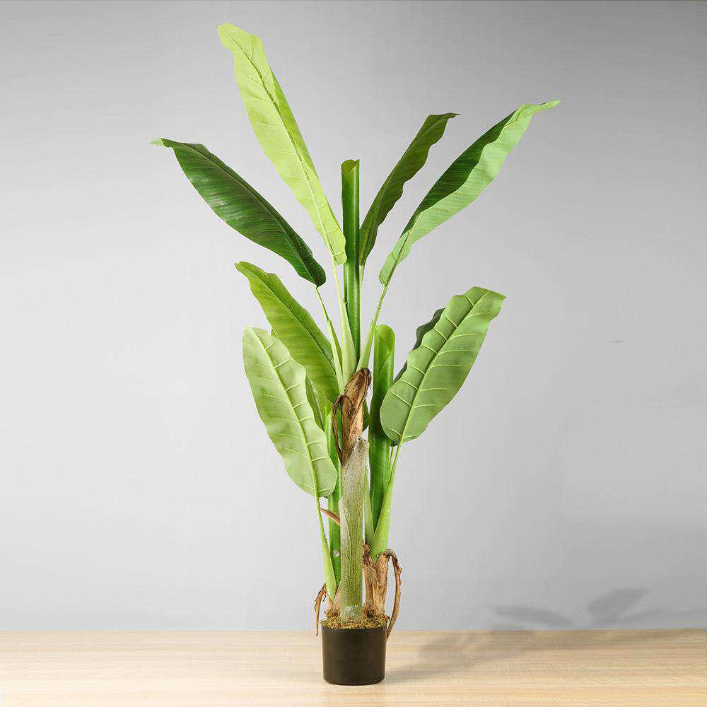 Kiki Artificial Banana Tree Potted Plant 55''