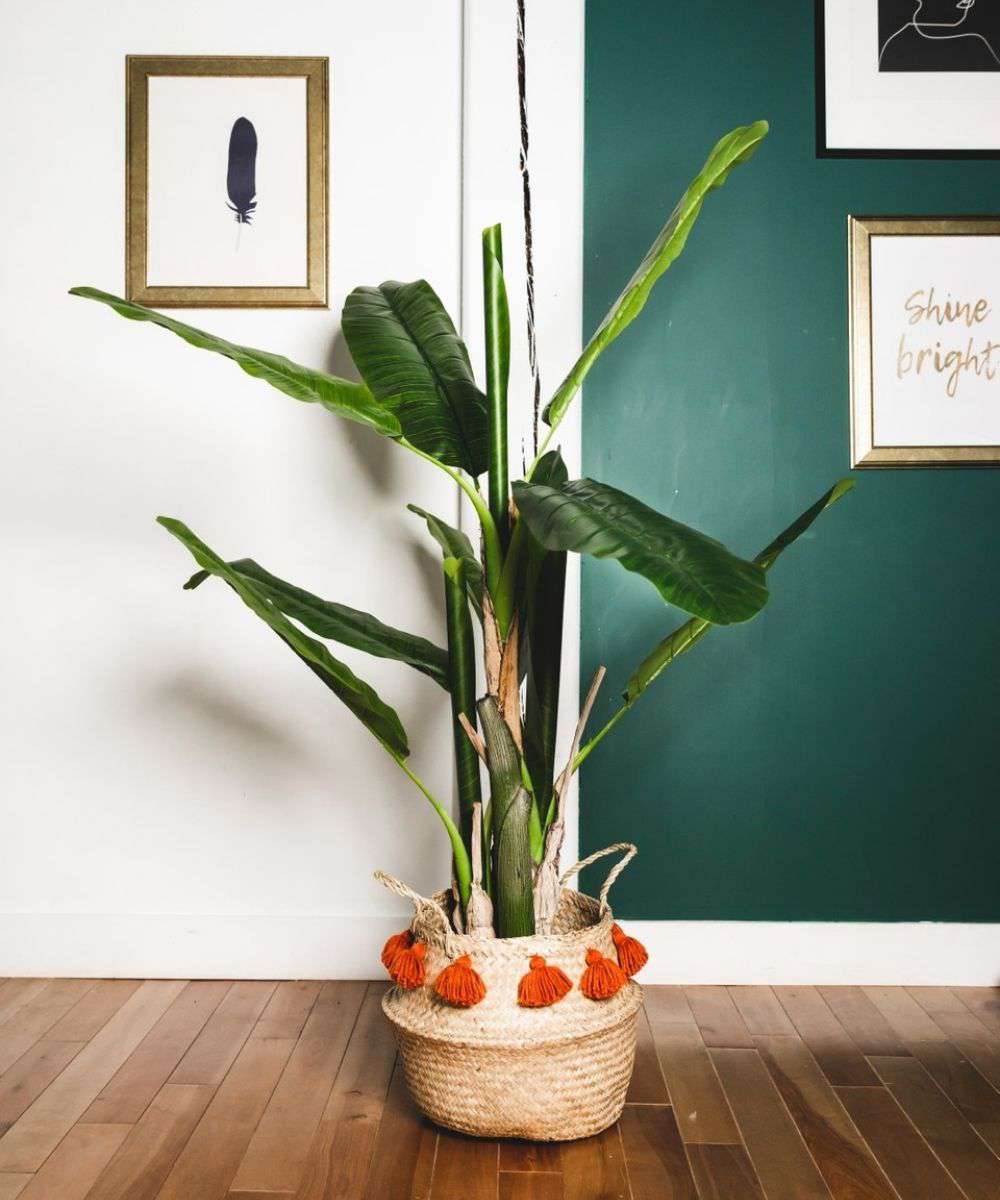 Kiki Artificial Banana Tree Potted Plant 55''