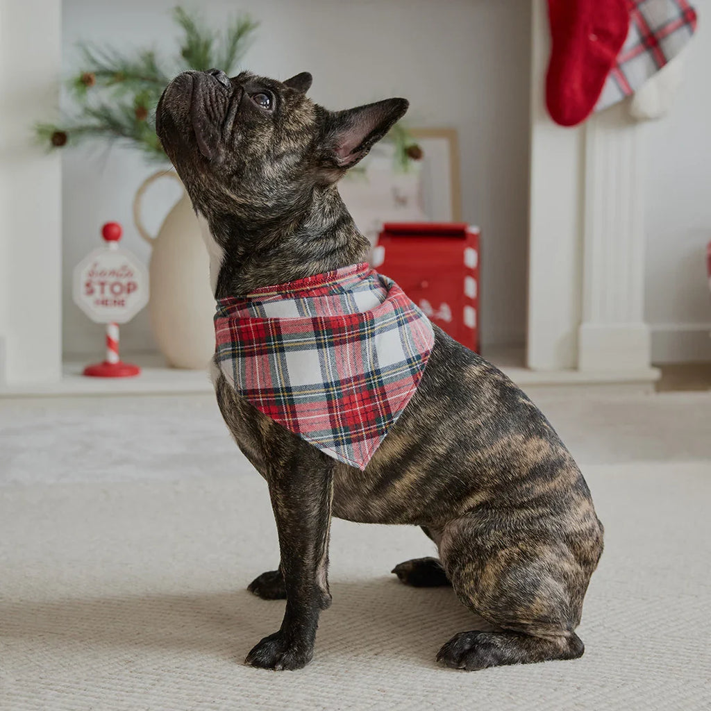 Dog Bandana | Red Tartan Plaid | Petit Lem