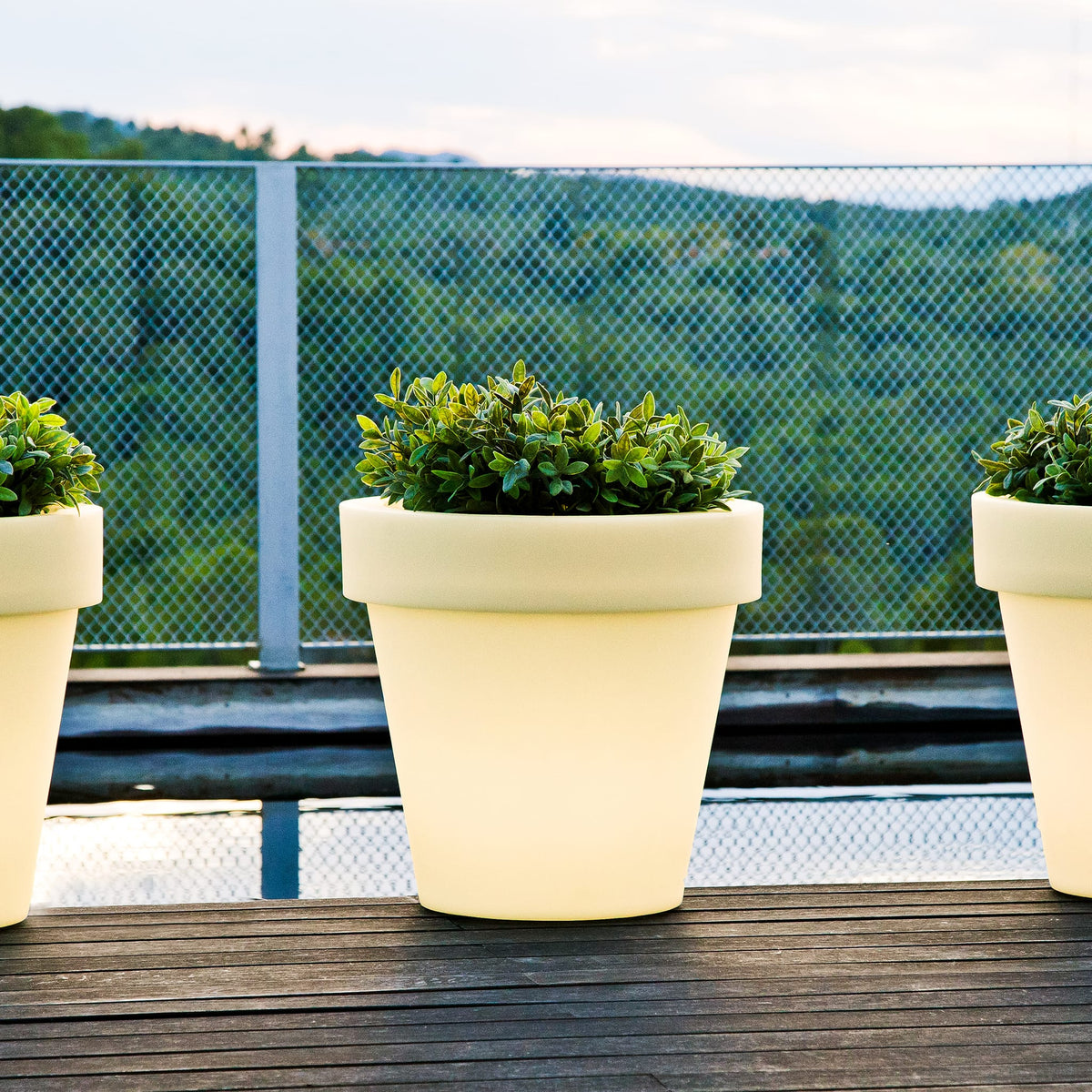 Magnolia<br> Solar & Rechargeable
