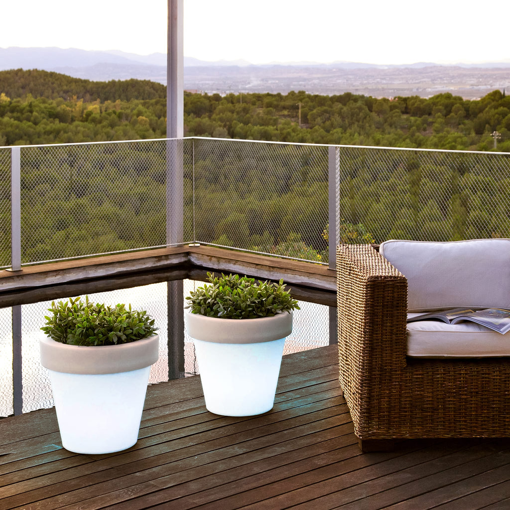 Magnolia<br> Solar & Rechargeable