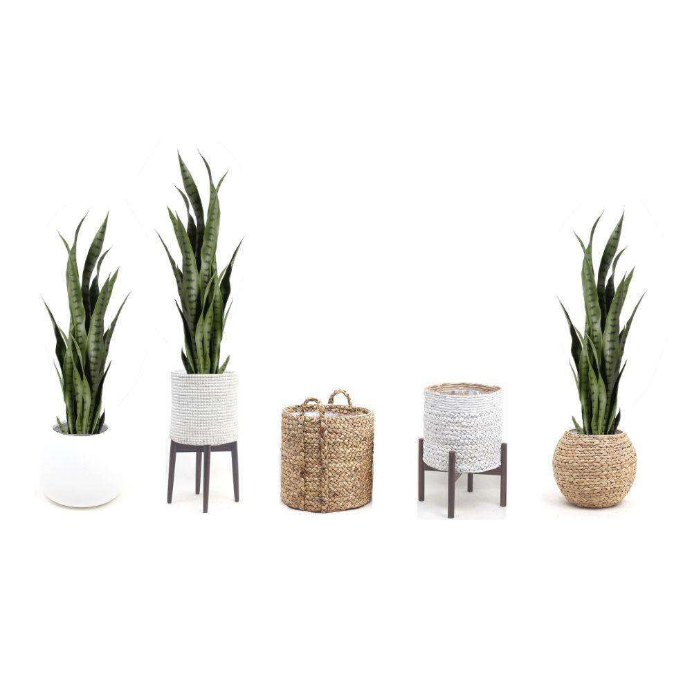 Milo Artificial Snake Sansevieria Dark Green Potted Plant (Multiple Sizes)