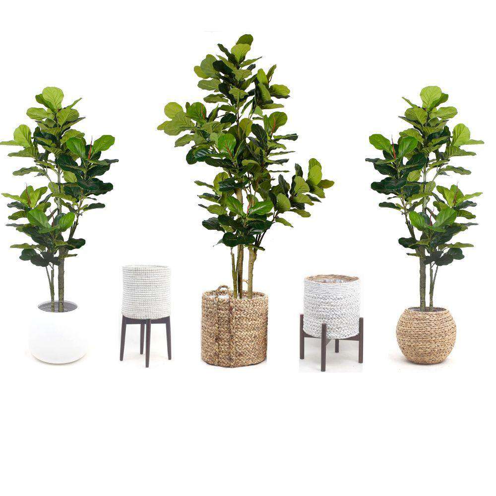 Nora Artificial Fiddle Leaf Potted Plant (Multiple Sizes)