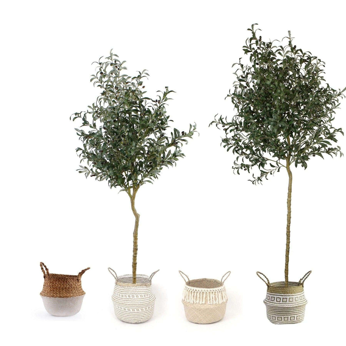Oli Artificial Olive Tree Potted Plant (Multiple Sizes)